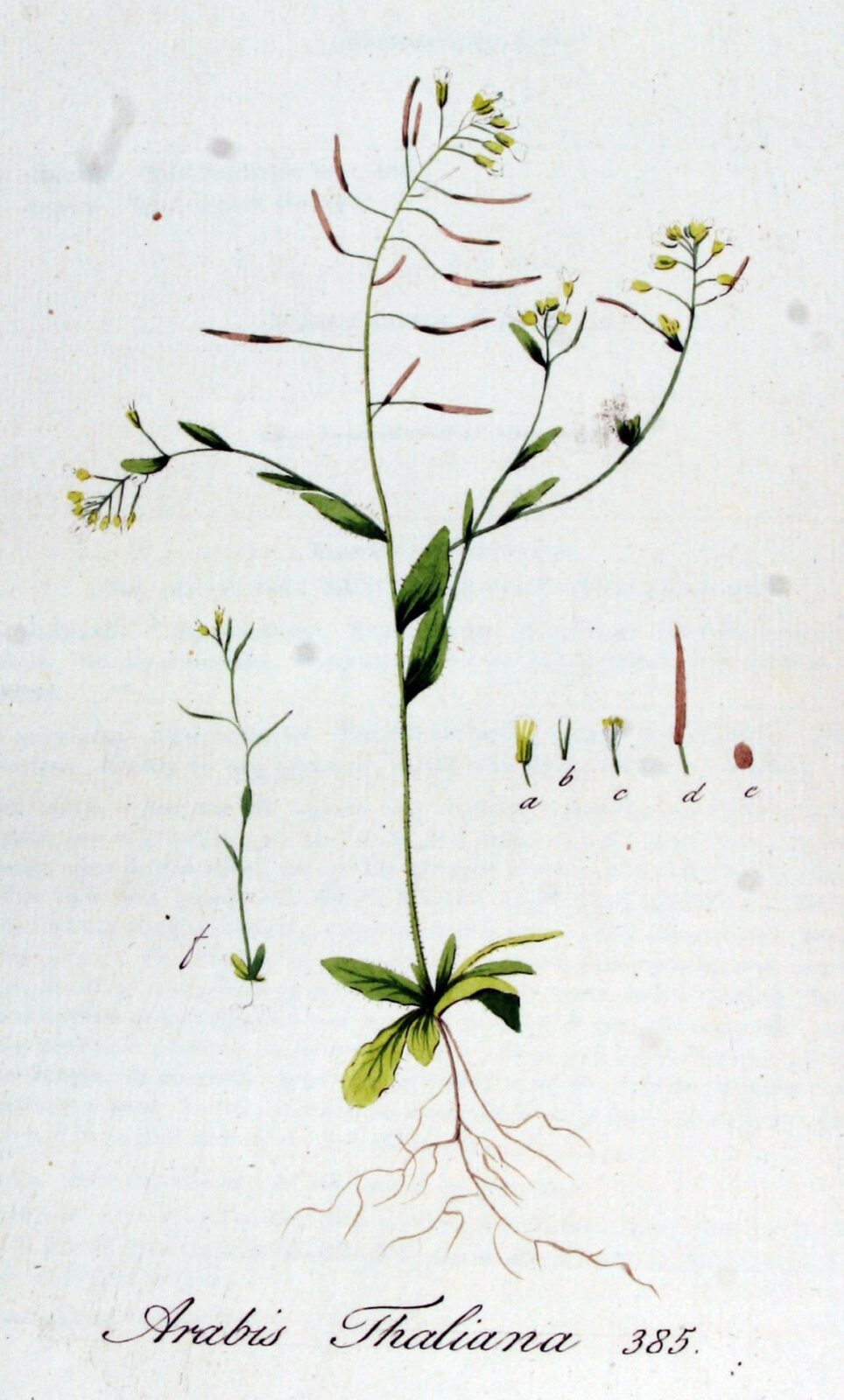 zandraket klimaatverandering