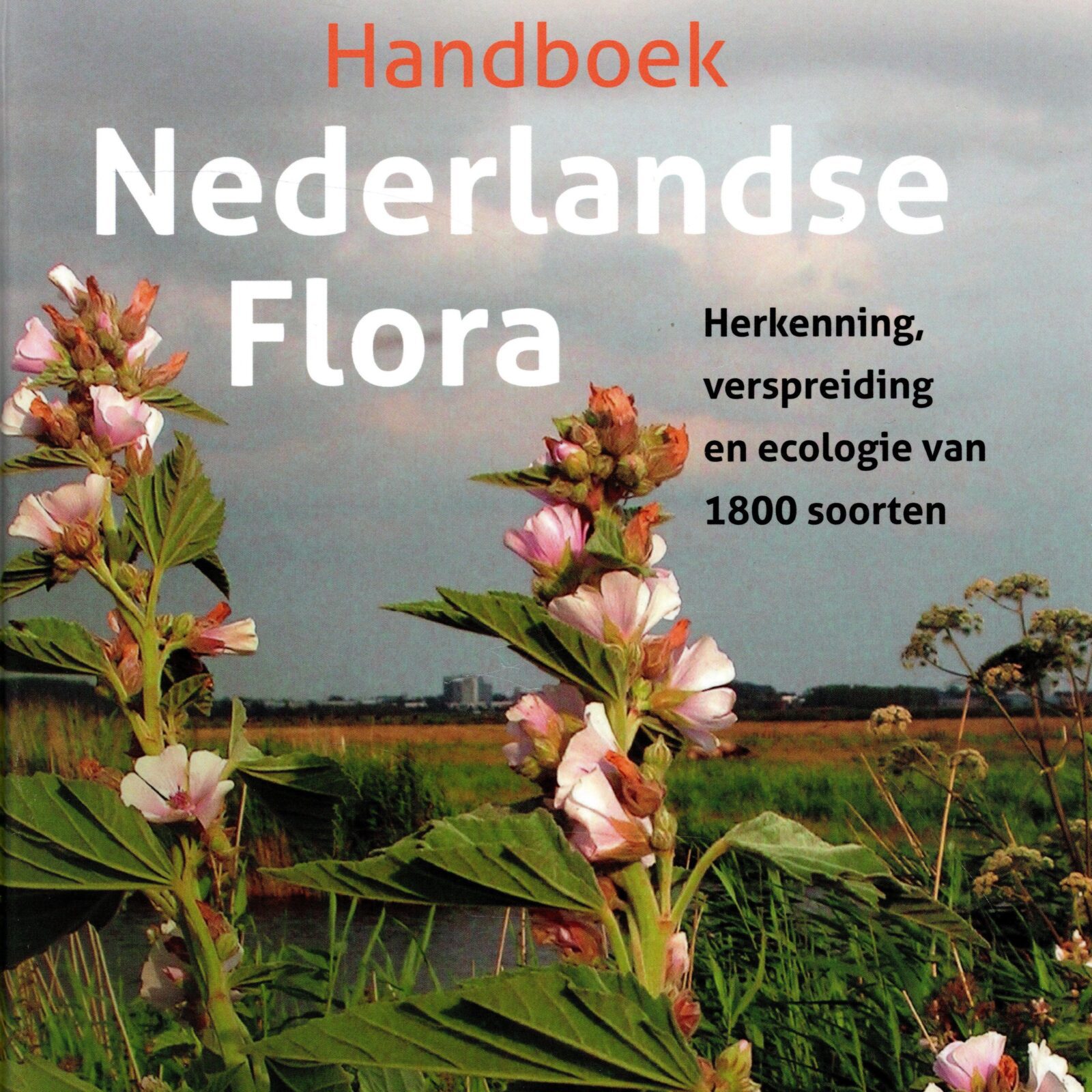 Nederlandse flora