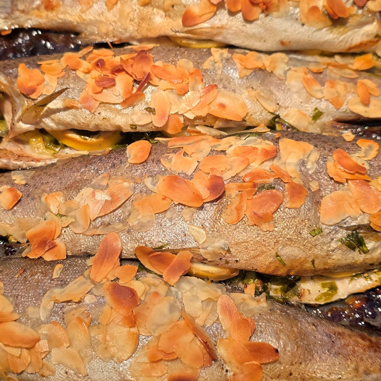 forel amandelen