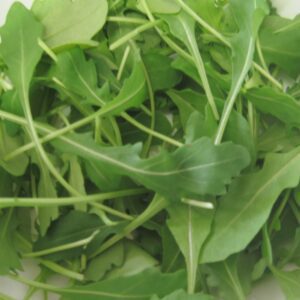 rucola raket raketsla eruca