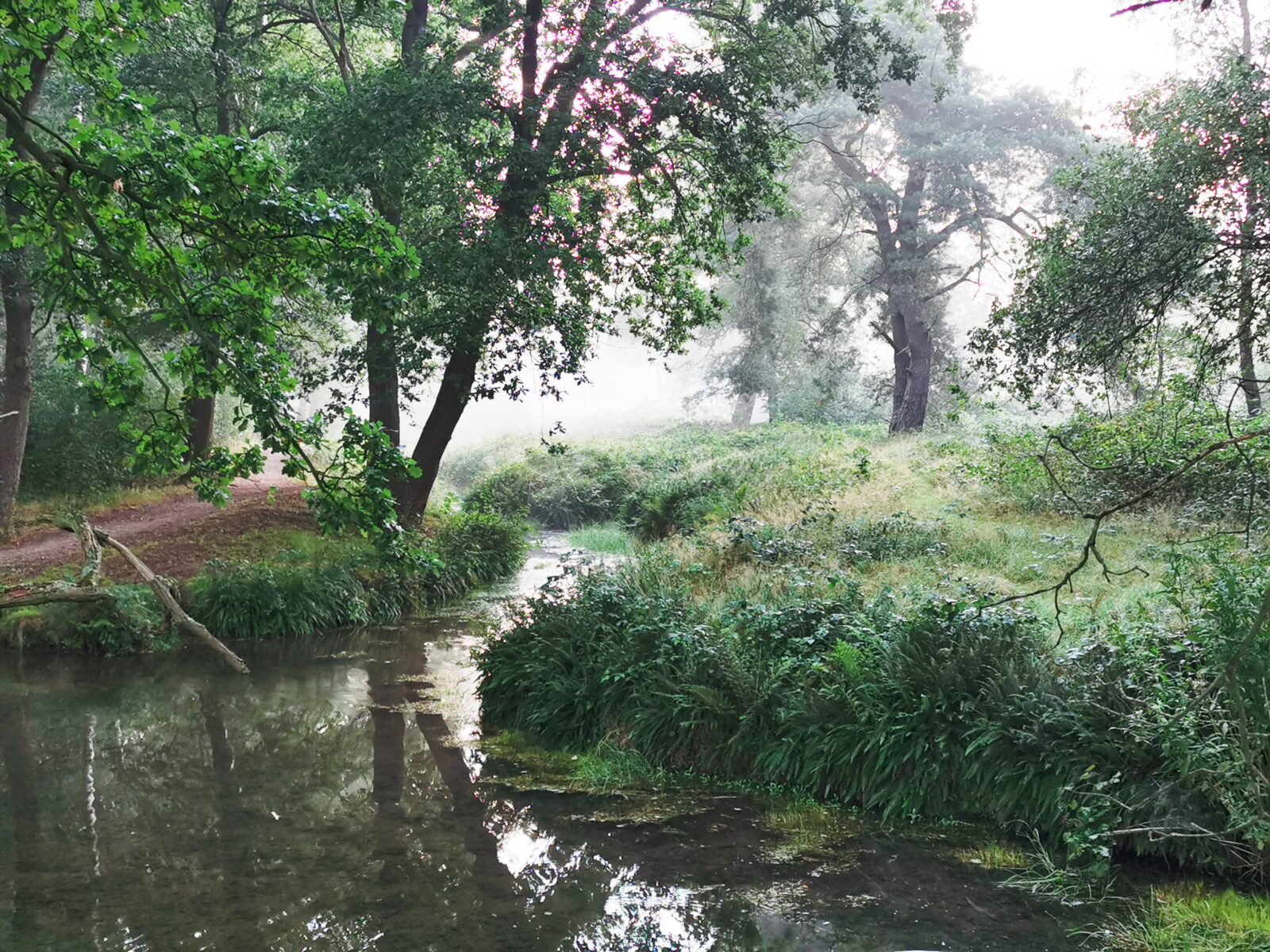 29 augustus - excursie Laag Wolfheze - Afbeelding 3