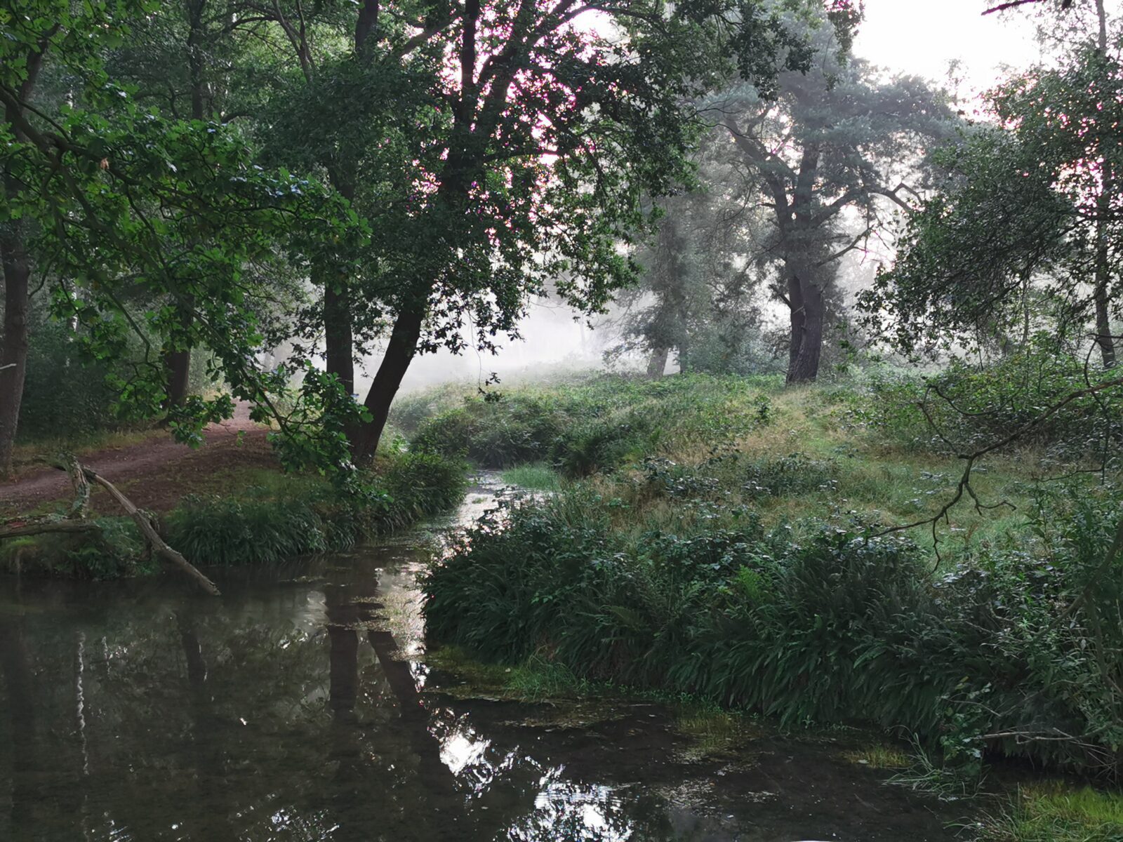 29 augustus - excursie Laag Wolfheze - Afbeelding 13