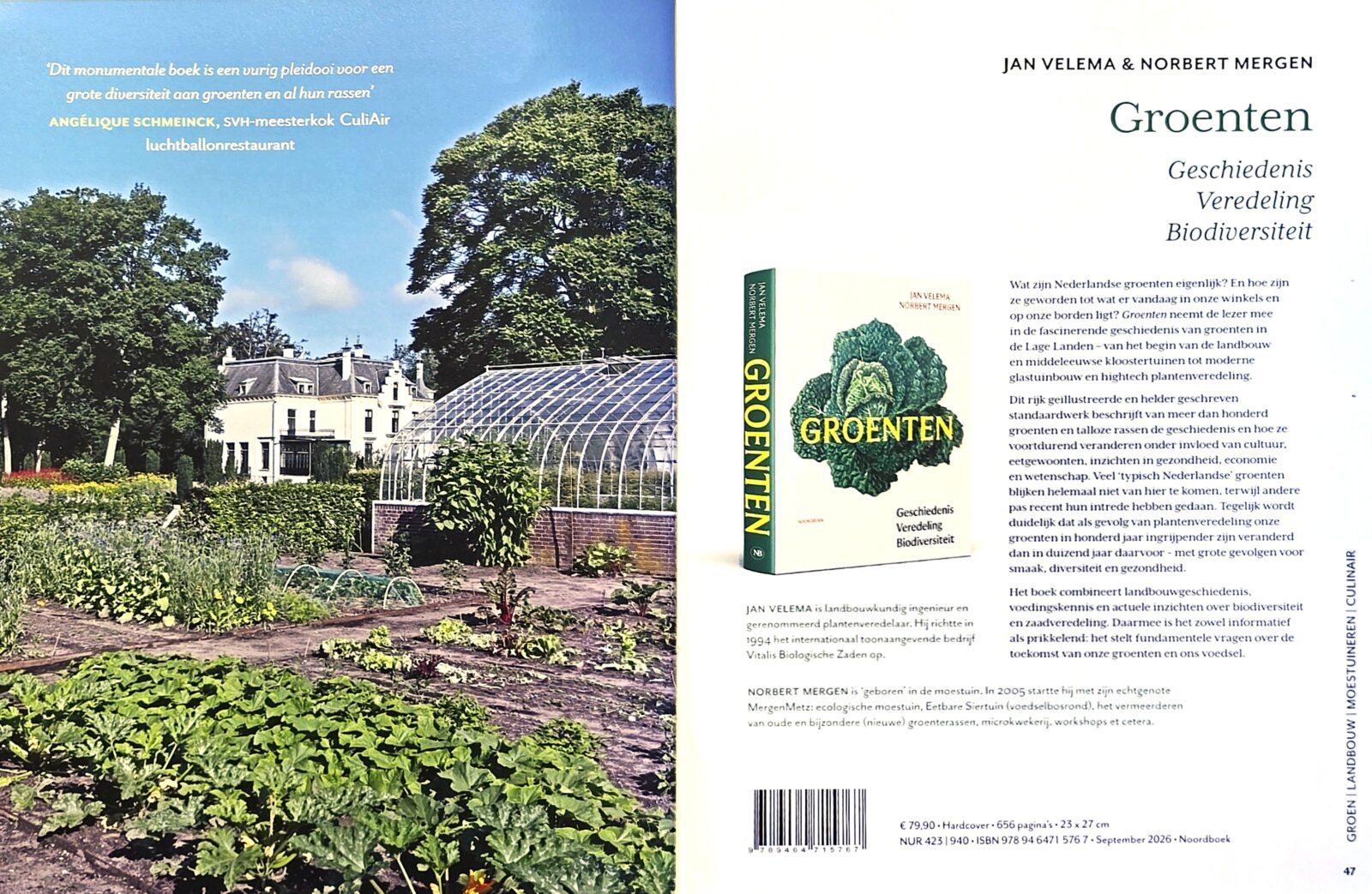 groenten - het boek