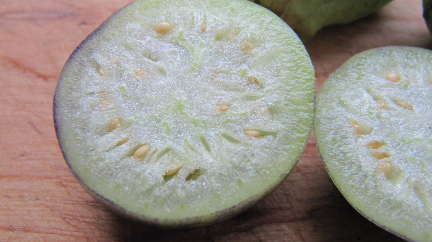 tomatillo - Physalis philadelphica