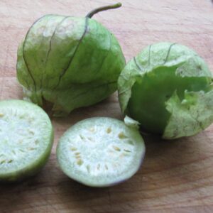 tomatillo - Physalis philadelphica