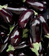 http://www.redfyrecookers.co.uk/recipe/img/aubergine.jpg