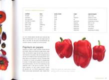 De Nieuwe Moestuin - pagina paprika's - klein.jpg
