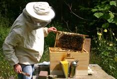 Bijenkastcontrole 4.jpg