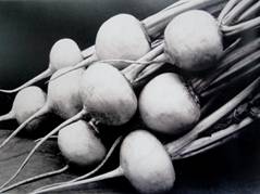 charles jones - turnips.jpg