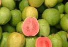 25 Met uitsterven bedreigde inheemse gezonde groenten - guave.jpg