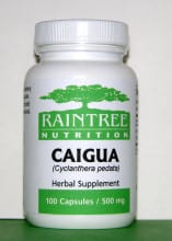 Caigua Fruit Powder in Capsules from Raintree - Cyclanthera pedata - Caigua Fruit Powder - Cyclanthera pedata - Caigua Fruit Powder - Cyclanthera pedata - Caigua Fruit Powder capsules