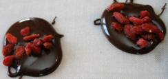 reslutaat - vrij gevormde chocolaatjes met gojibessen.jpg