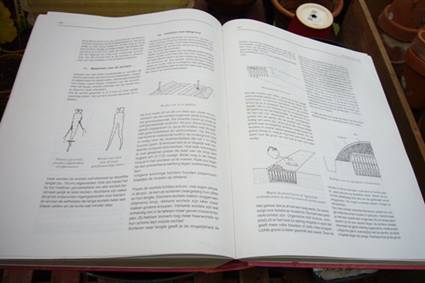 Witlof - teelt pagina s VELT.jpg